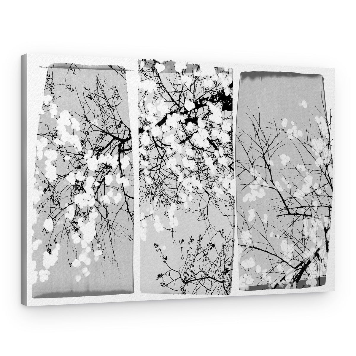 Delicate Spring Blossoms – Canvas Print
