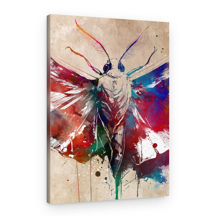 Colorful Watercolor Moth – Canvas Print