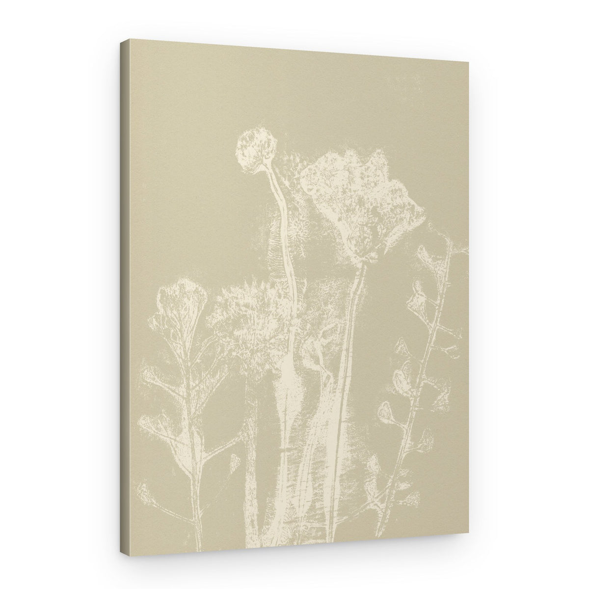 Soft Botanical Forms – Canvas Print