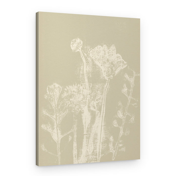 Soft Botanical Forms – Canvas Print