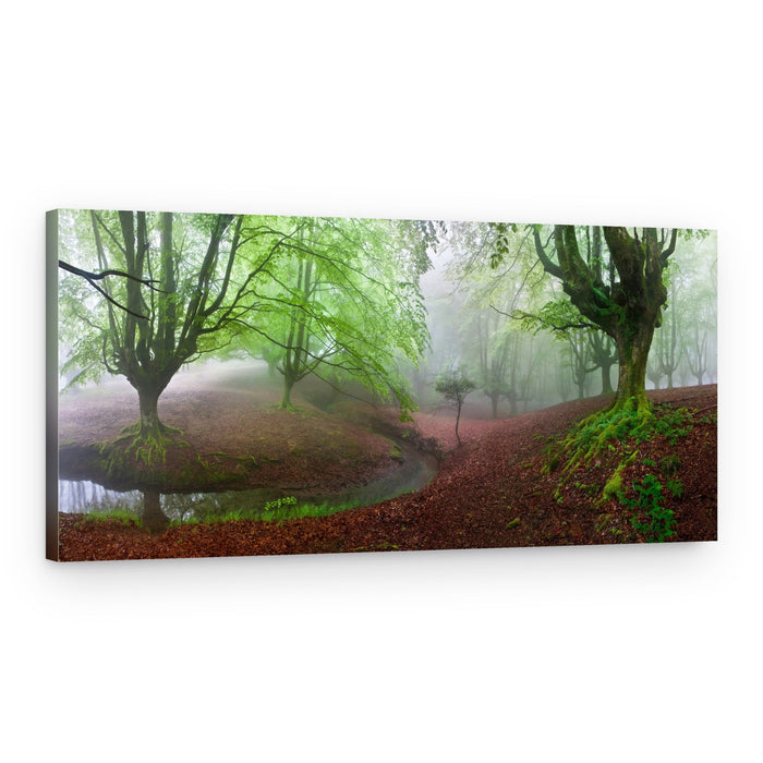 Misty Green Forest Stream – Canvas Print