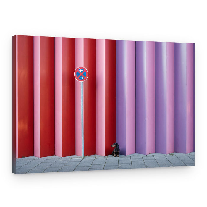 Dog by Striped Wall – Canvas Print