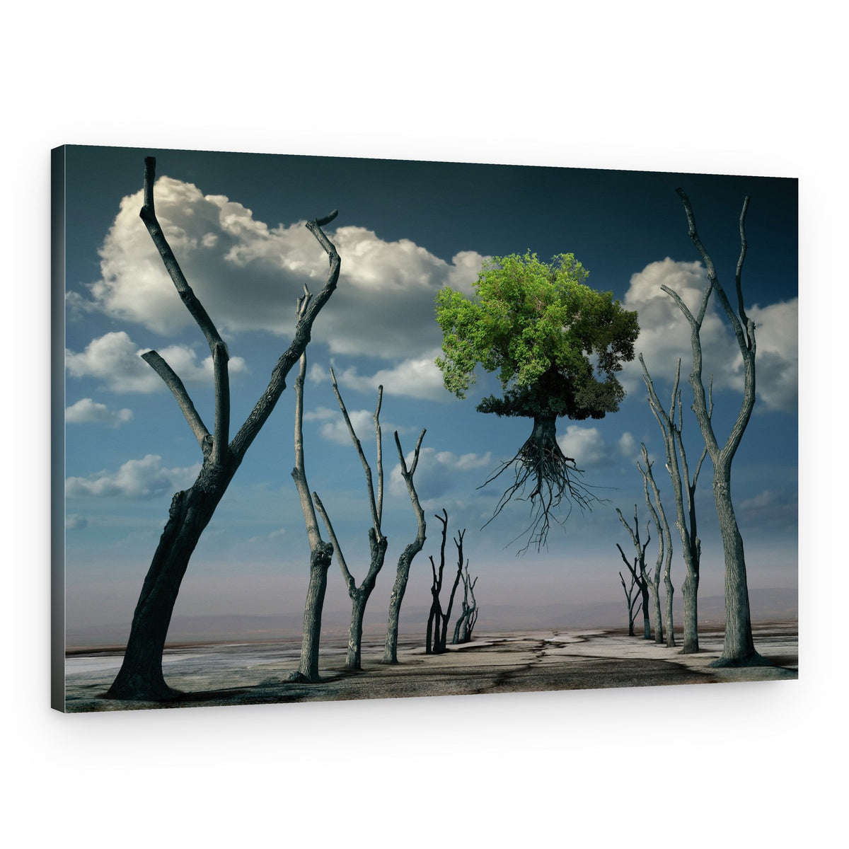 Surreal Floating Tree – Canvas Print