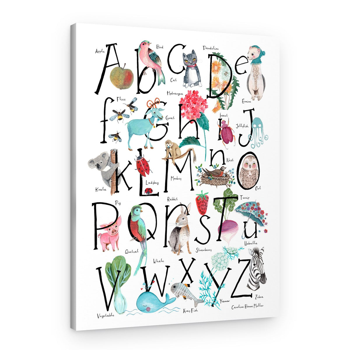 ABC illustration – Canvas Print
