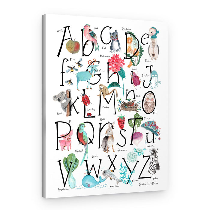 ABC illustration – Canvas Print