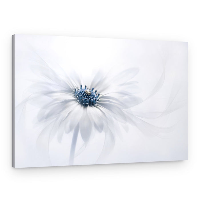 Delicate White Bloom – Canvas Print