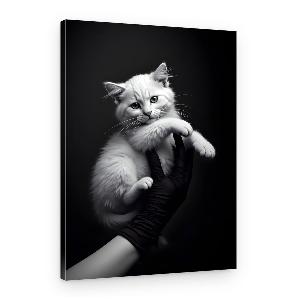 Adorable White Kitten – Canvas Print