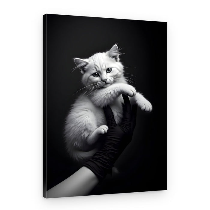 Adorable White Kitten – Canvas Print