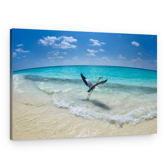 Tropical Heron Flight – Canvas Print