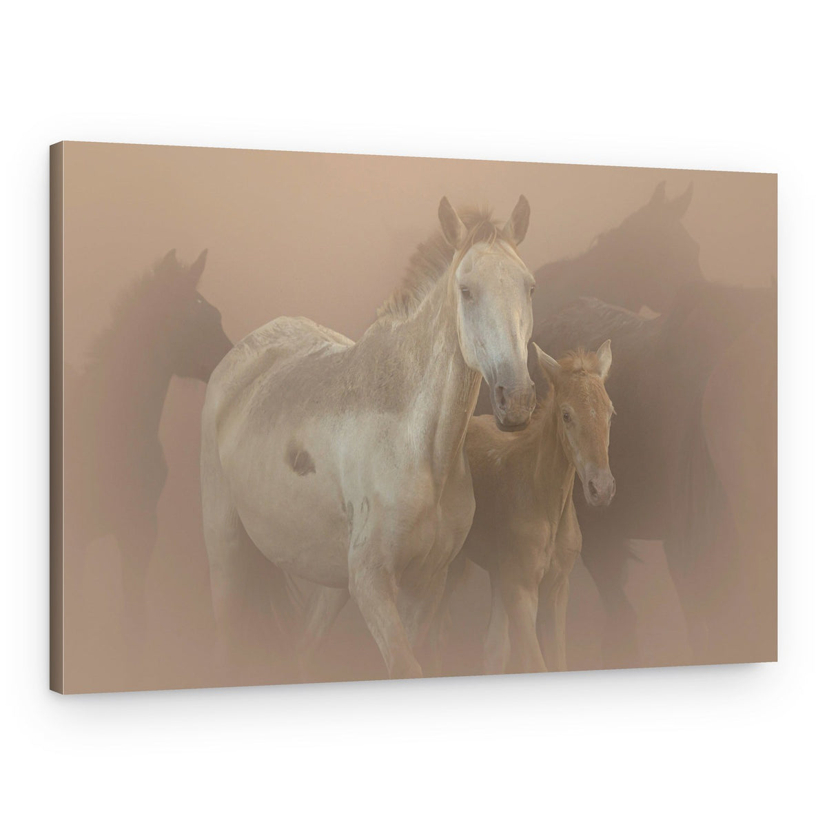 Dusty Horse Family – Canvas Print