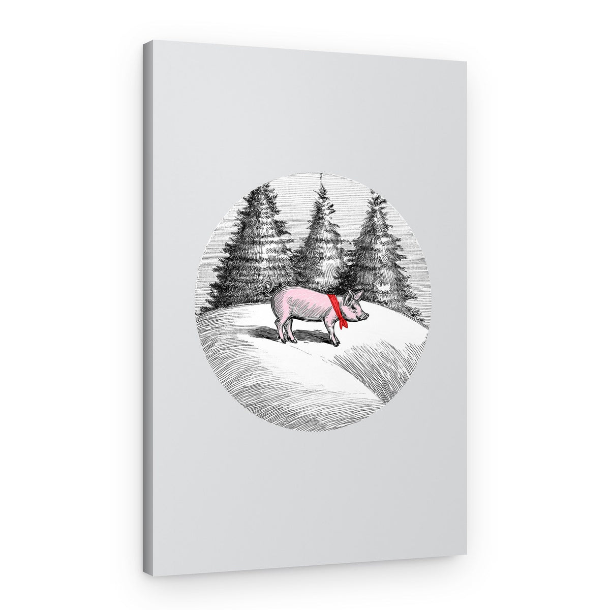 Christmas Pig In Snow – Canvas Print