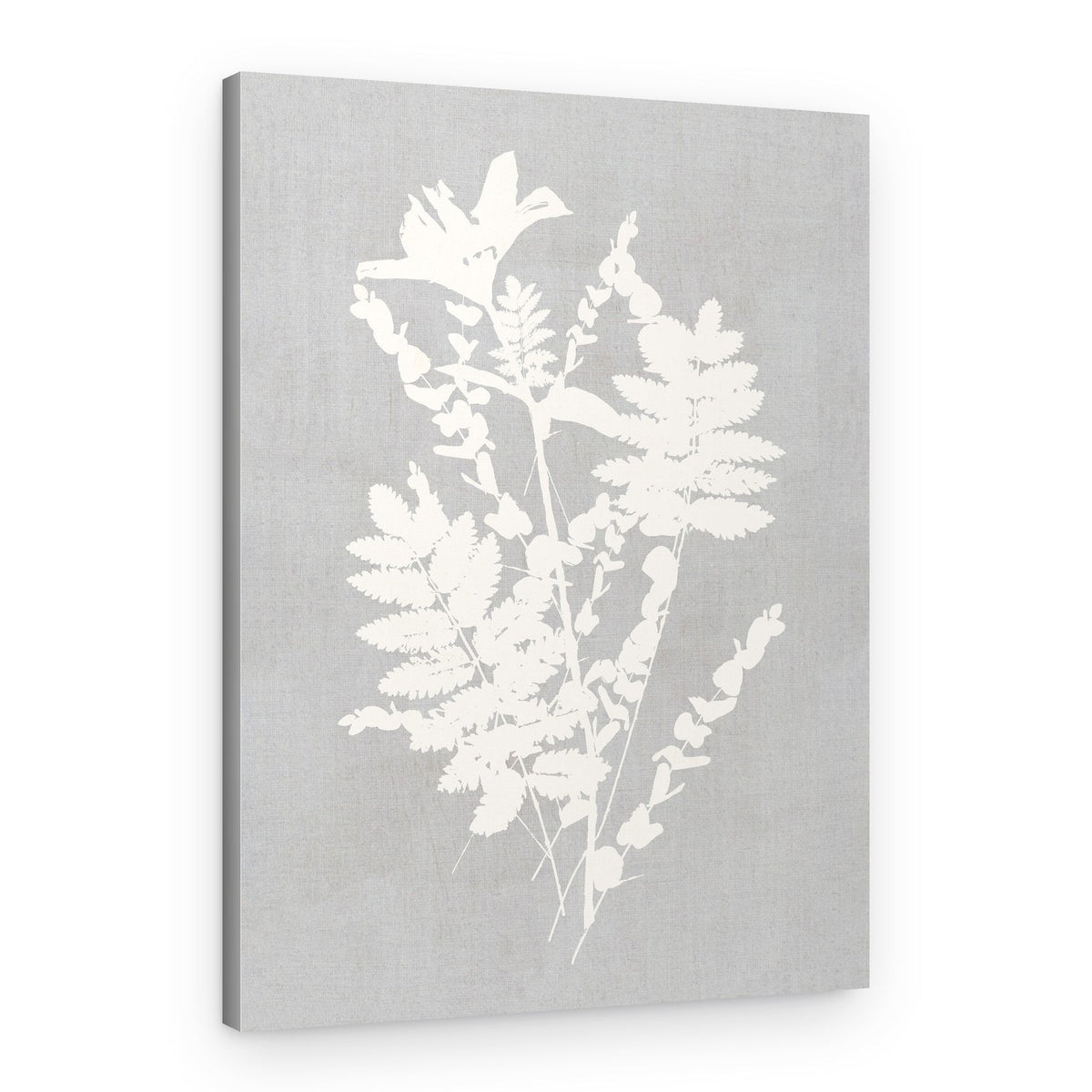 Botanical Silhouette Study – Canvas Print