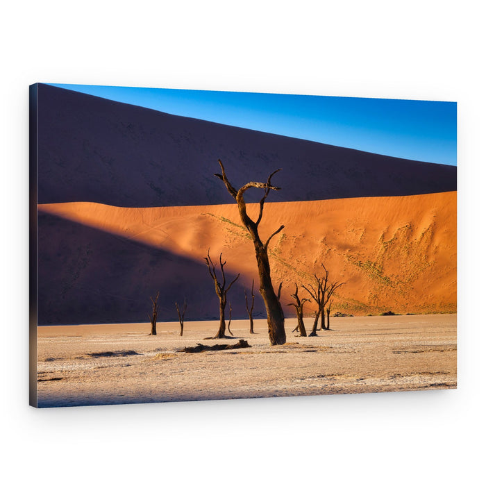 Desert Trees Red Dunes – Canvas Print