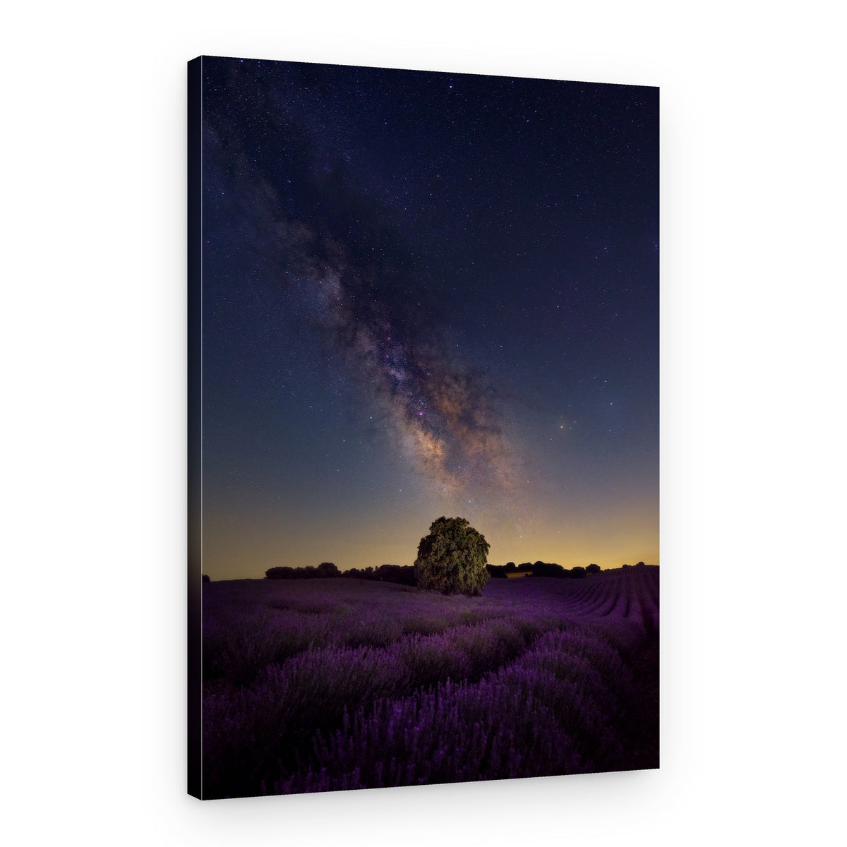 Milky Way Lavender Field – Canvas Print
