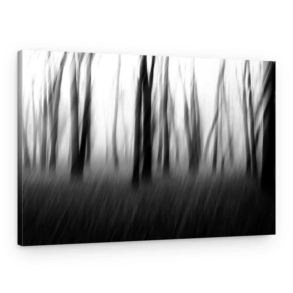 Forest In Motion – Canvas Print