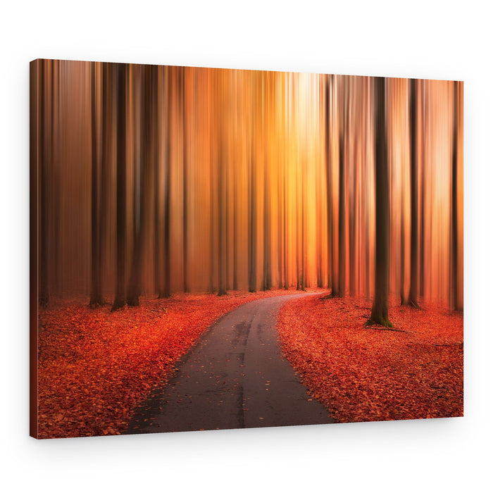Vibrant Autumn Path – Canvas Print