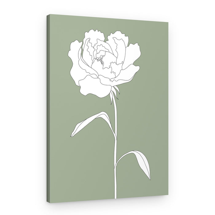 Elegant White Peony – Canvas Print