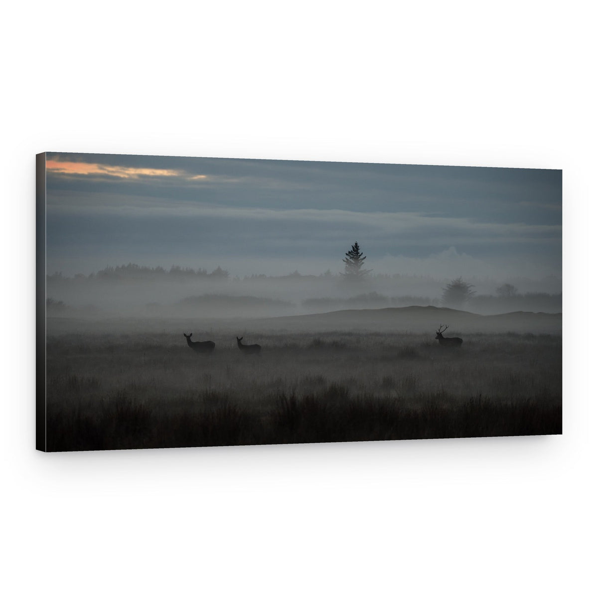 Misty Morning Deer – Canvas Print