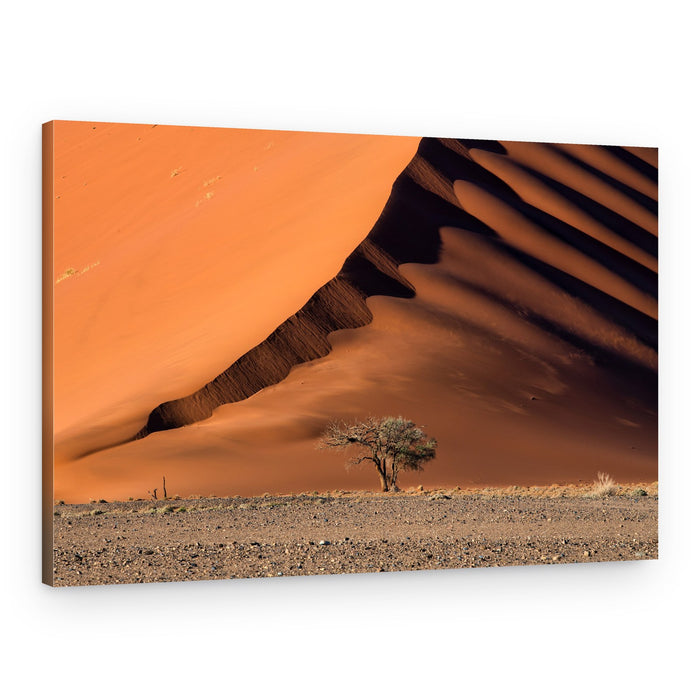 Orange Dune Shadow Tree – Canvas Print