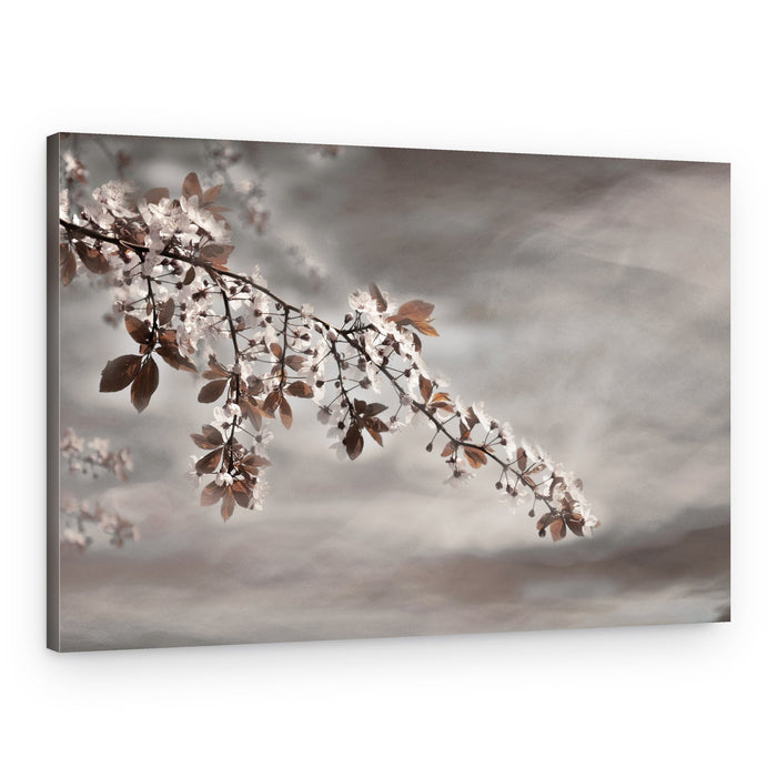 Dreamy Blossom Branch – Canvas Print