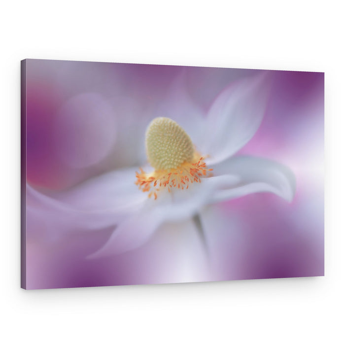 Dreamy White Bloom – Canvas Print