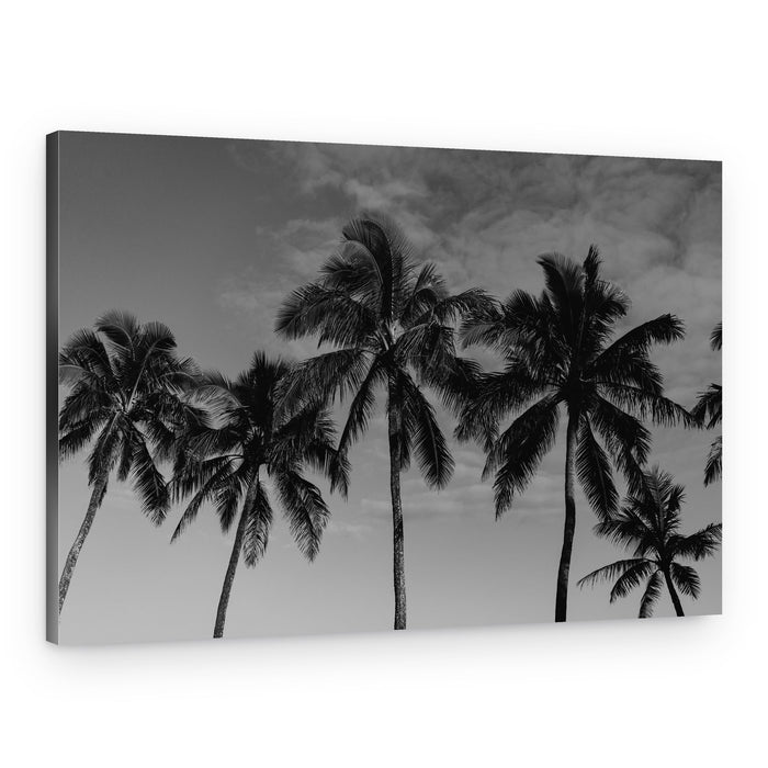 Tropical Palm Silhouettes – Canvas Print