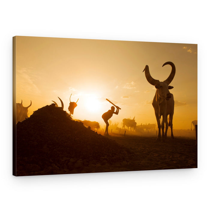 African Herder Golden Sunset – Canvas Print
