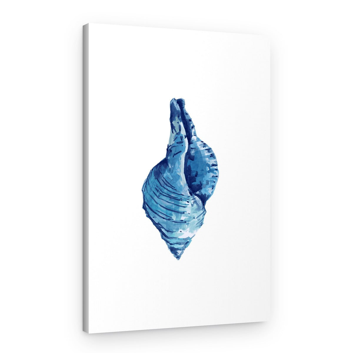 Watercolor Blue Seashell – Canvas Print