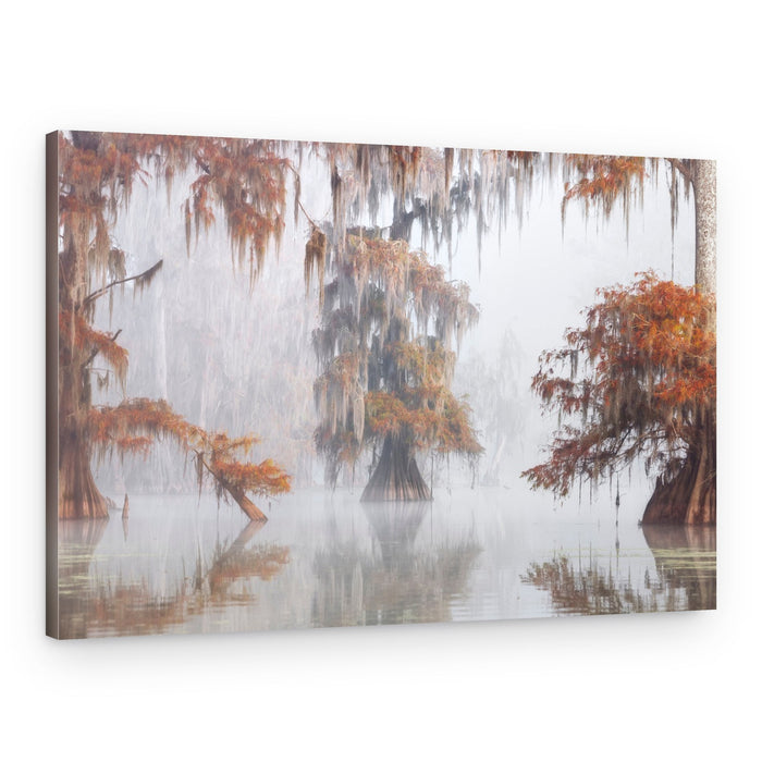 Misty Autumn Cypress Swamp – Canvas Print