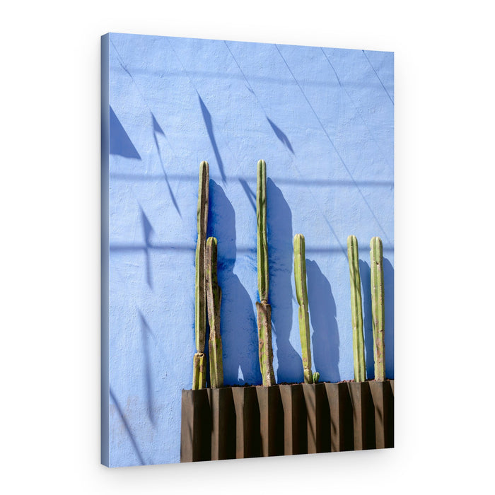 Tall Cacti | Oaxaca Mexico travel photography – Canvas Print