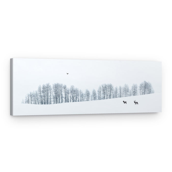 Deer In White Winter – Canvas Print