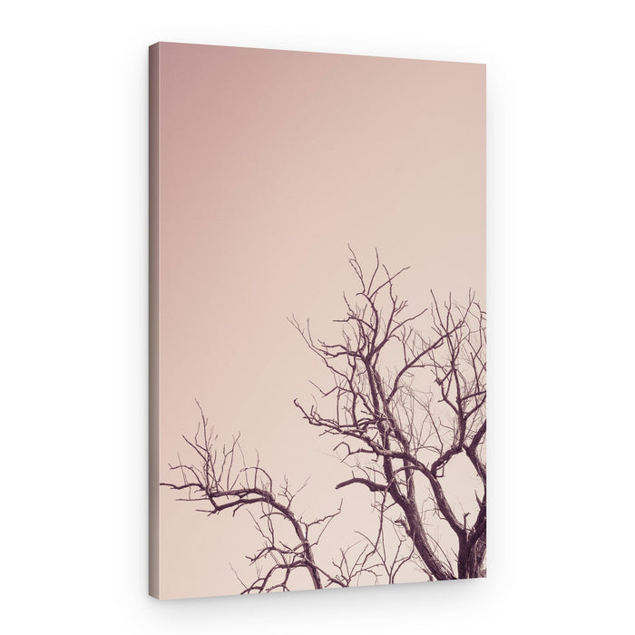 Stark Winter Tree – Canvas Print