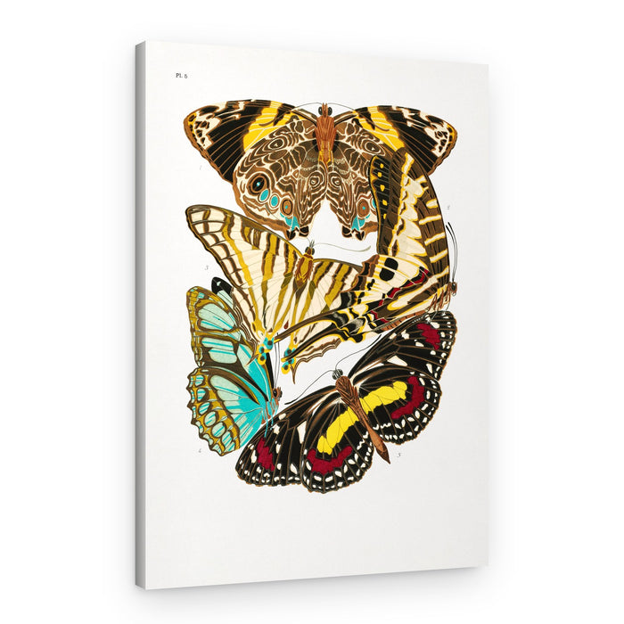 Butterflies 10 – Canvas Print