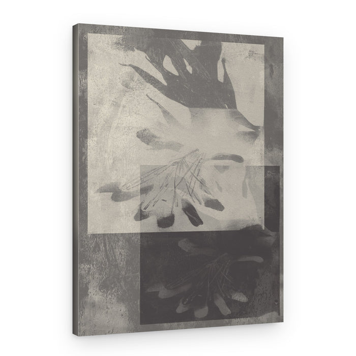 Abstract Grey Botanicals – Canvas Print