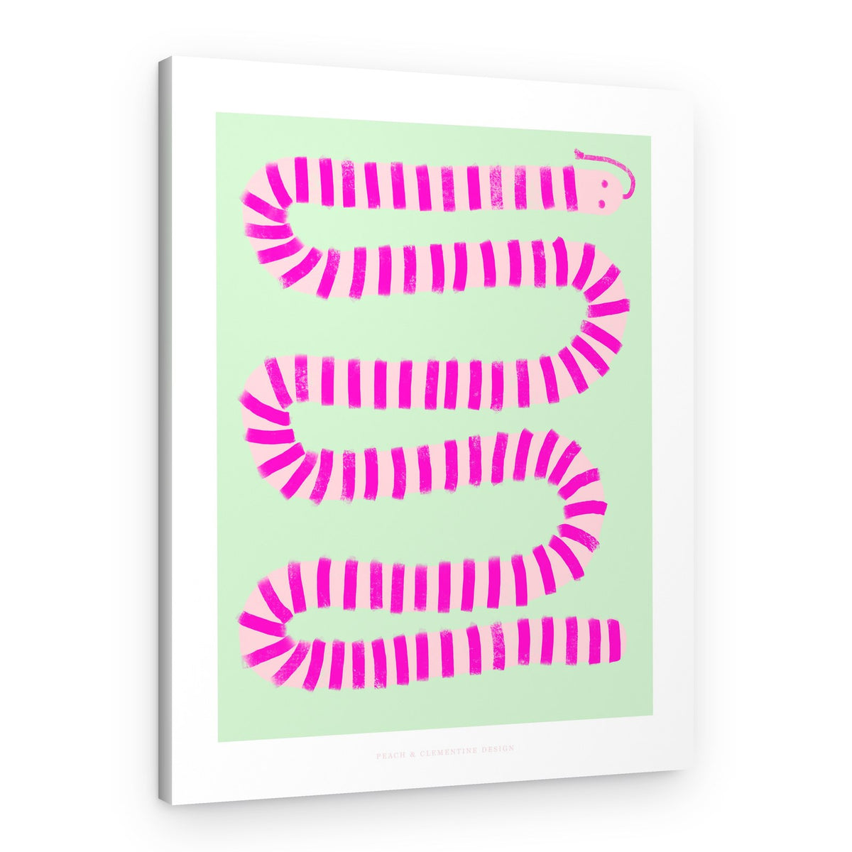 Pandc Pinksnake Copy – Canvas Print