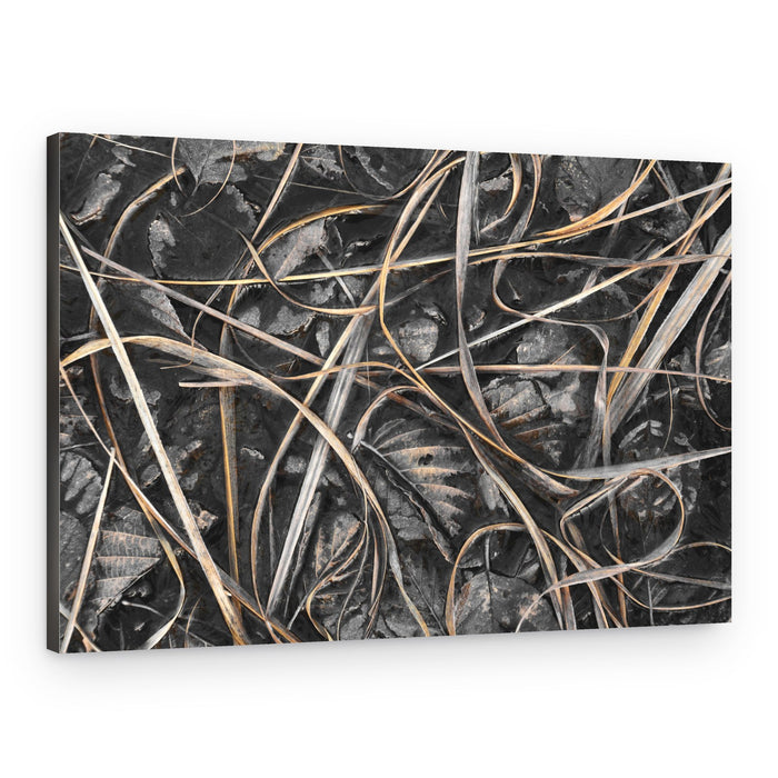 Frosted Winter Grass – Canvas Print