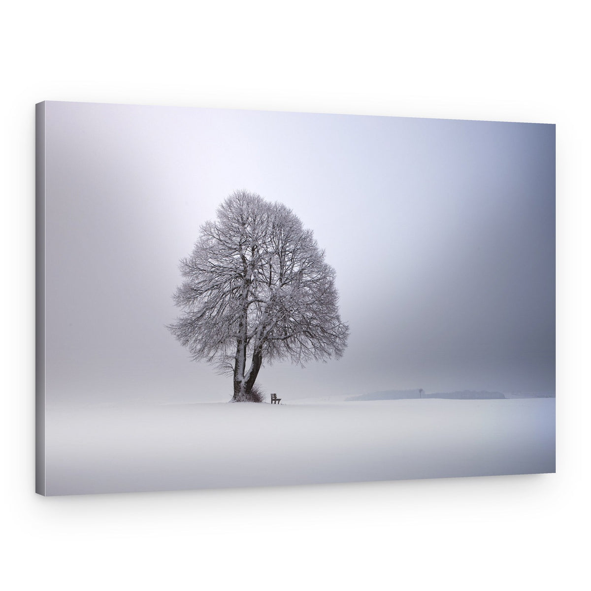 Winter Tree Serenity – Canvas Print
