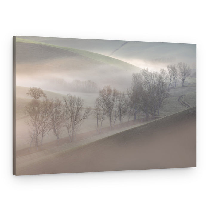 Misty Morning Hills – Canvas Print