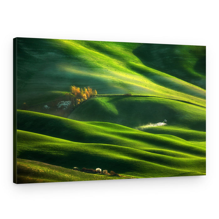 Green Hills Golden Light – Canvas Print