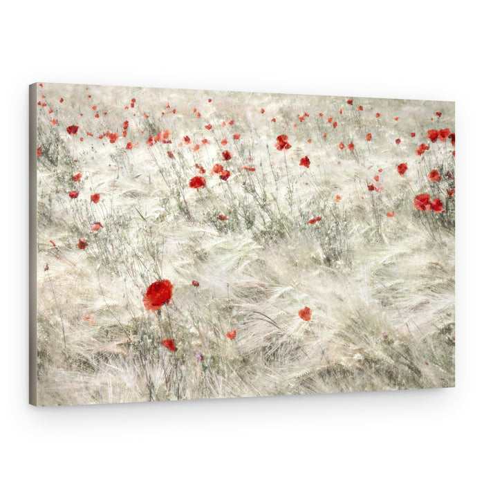 Dreamy Poppy Field – Canvas Print
