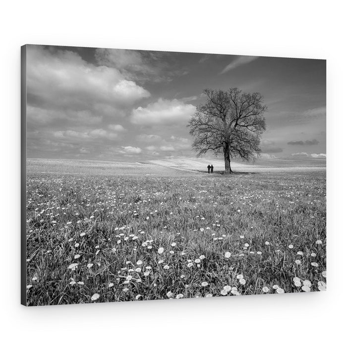 Couple By Lone Tree – Canvas Print