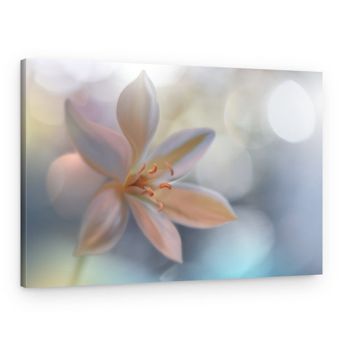 Metamorphosis – Canvas Print