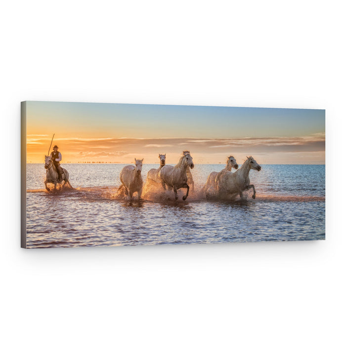 Camargue Horses Sunset Run – Canvas Print