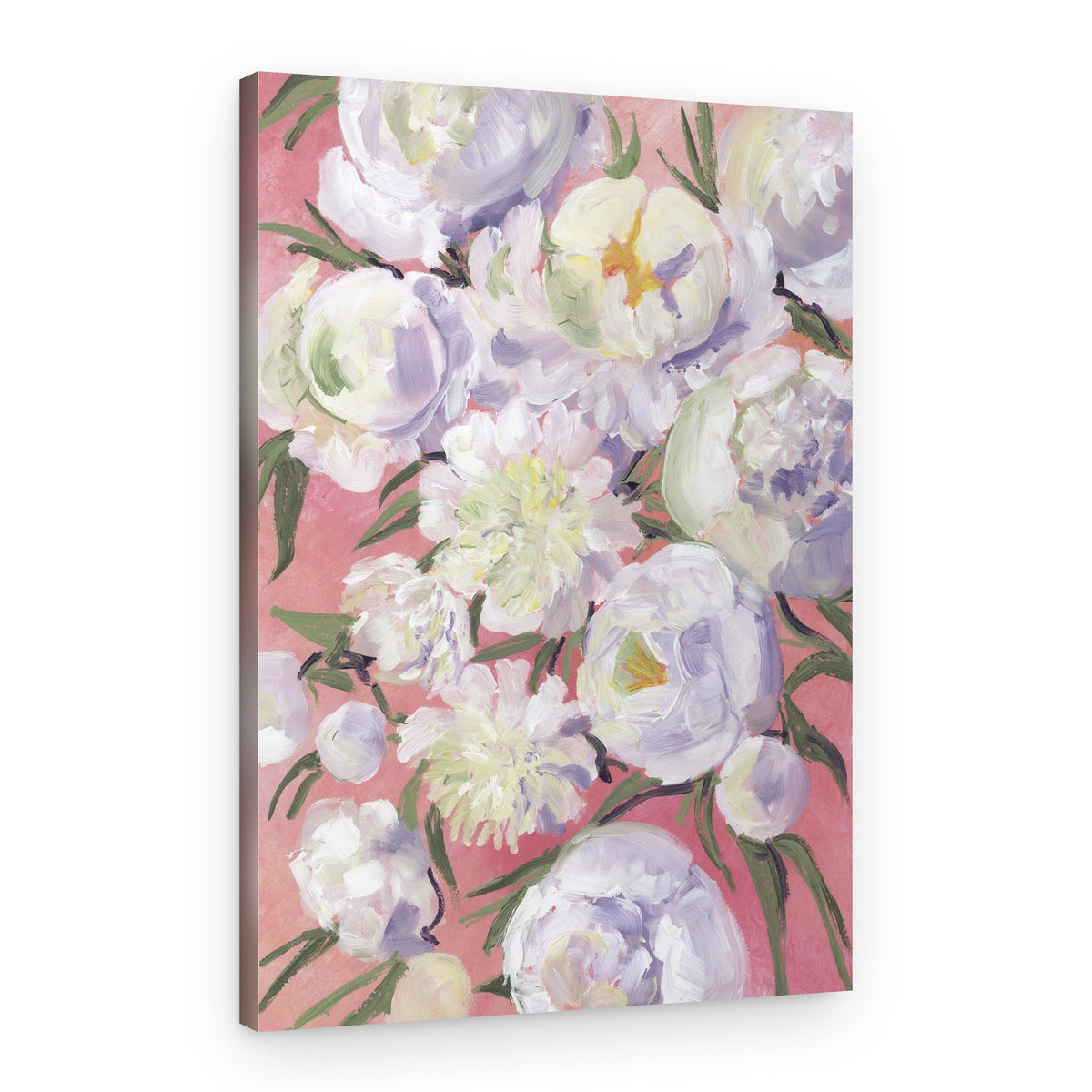 White Peonies Bloom – Canvas Print