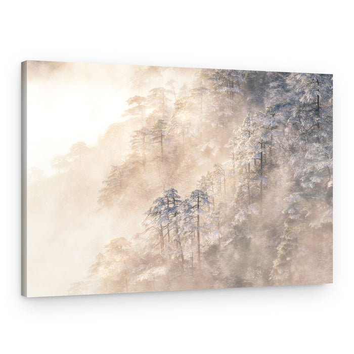 Misty Winter Pines – Canvas Print