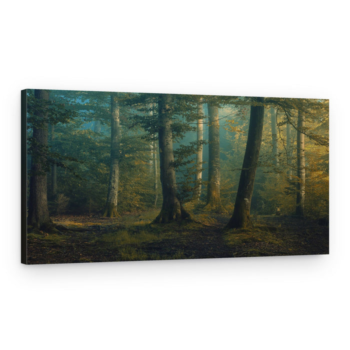 Misty Forest Path – Canvas Print