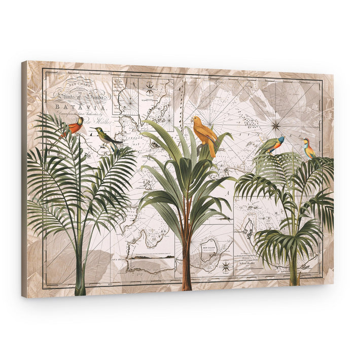 Vintage Tropical Birds Map – Canvas Print