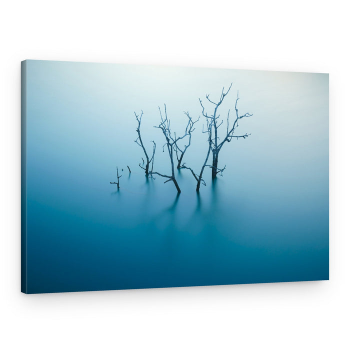 Still Blue Trees – Canvas Print