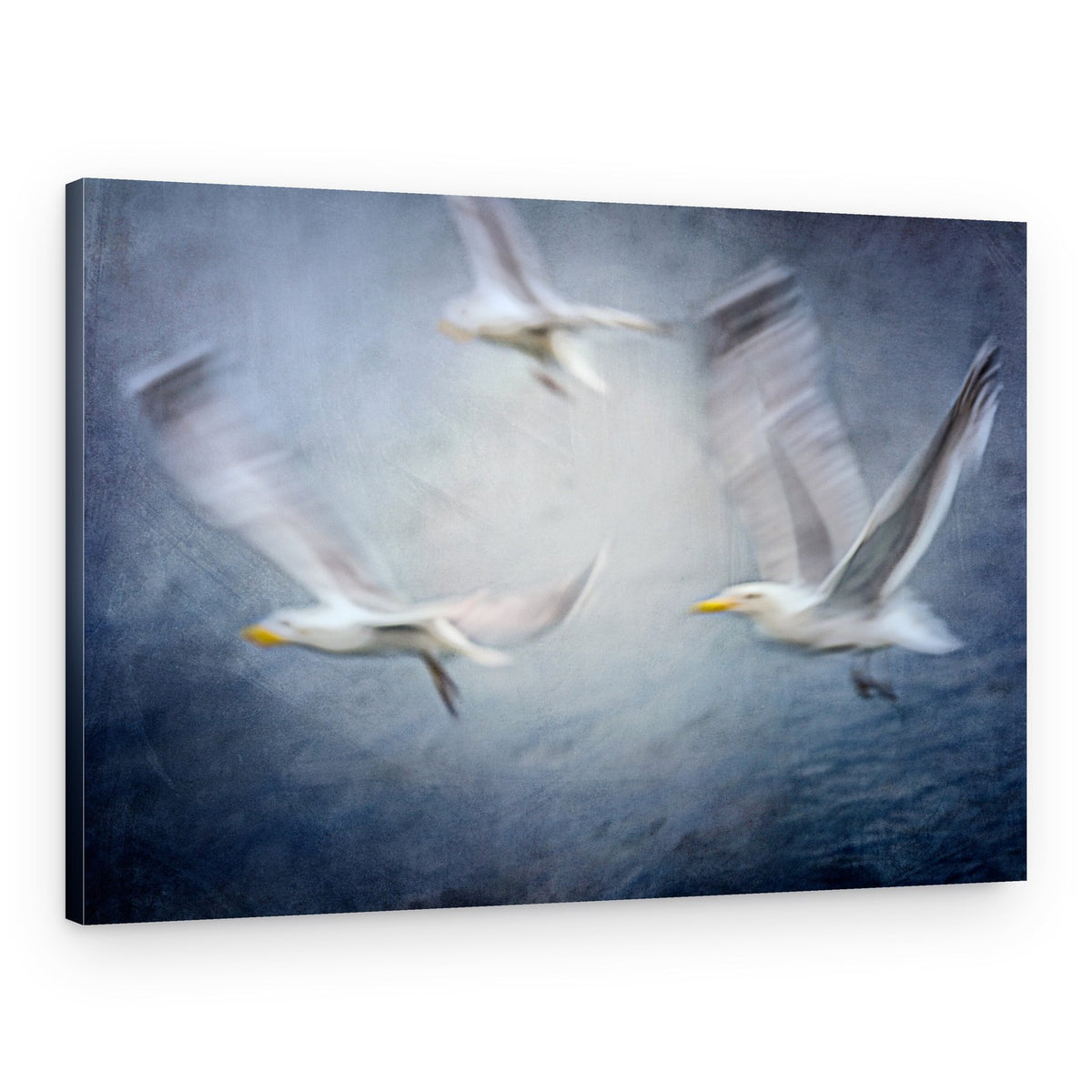 Dynamic Seagull Flight – Canvas Print