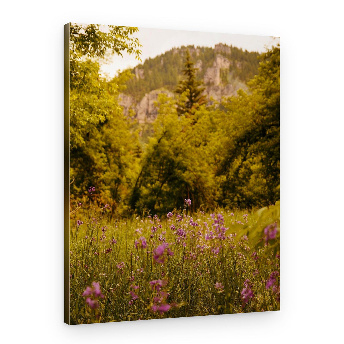 Wildflower Mountain Meadow – Canvas Print